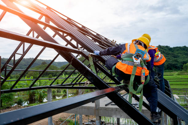 Best Storm Damage Roof Repair  in Camp Hill, AL